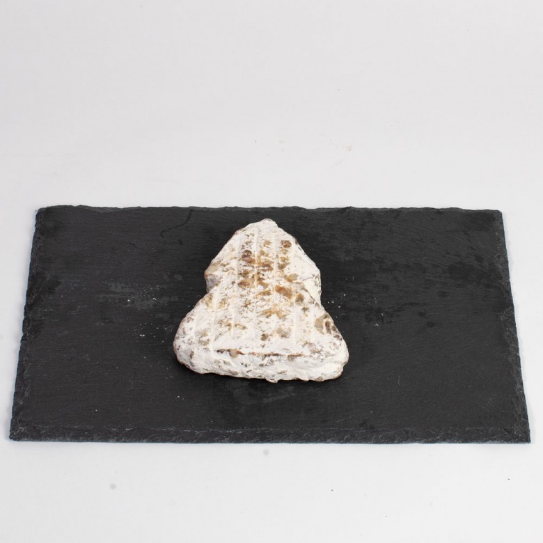 Pavé au sapin Pavé au sapin