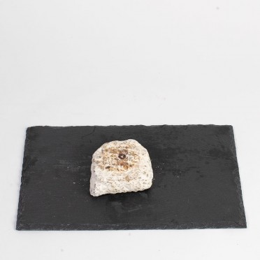 Pavé aux noisettes 2